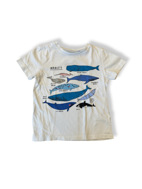 T-Shirt "Wale" weiß, blau Gr.116 | Mini Boden